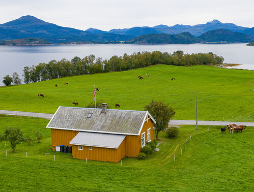 Røttingsnesskolen - Familienparadies in Møre og Romsdal