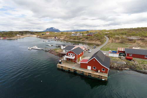 Blomsø Fiskeferie - Excellent cod & halibut fishing in Nordland!