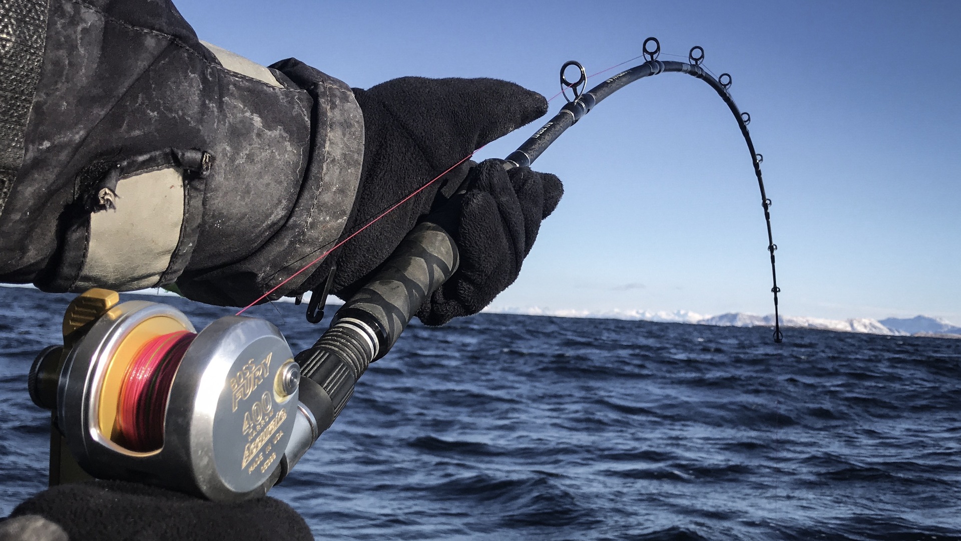 Optimize Your Cod Success - The Fisherman